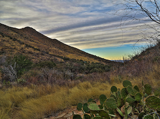 Stacks Image 35